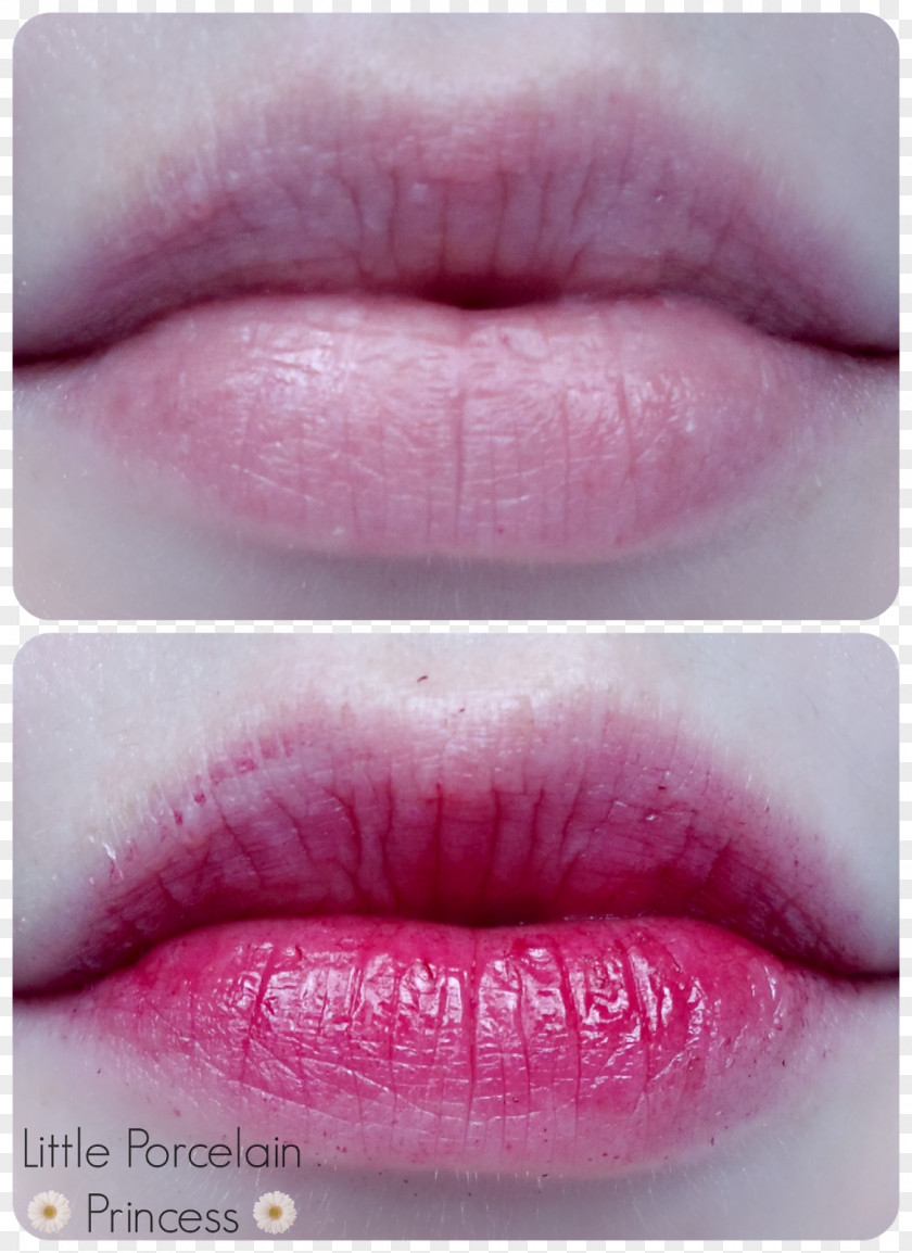 Lip Tint Stain Gloss Lipstick 페리페라 PNG