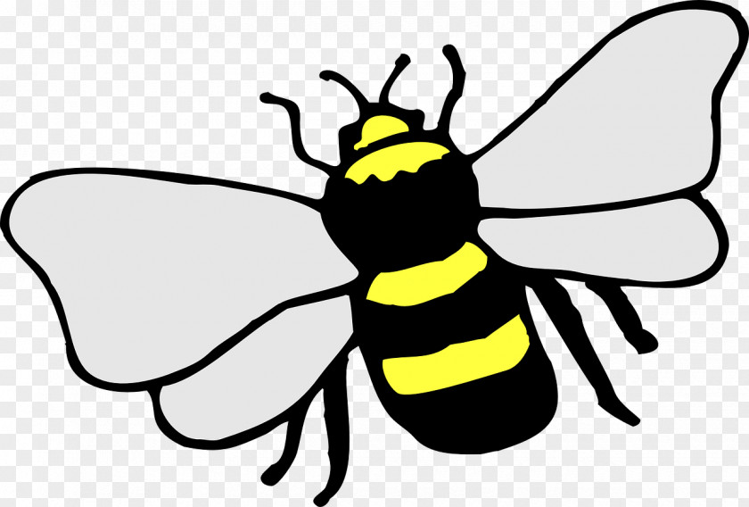 Bee Bumblebee Drawing Honey Clip Art PNG