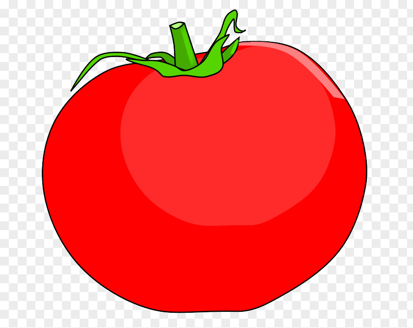 Bell Pepper Solanum Tomato PNG