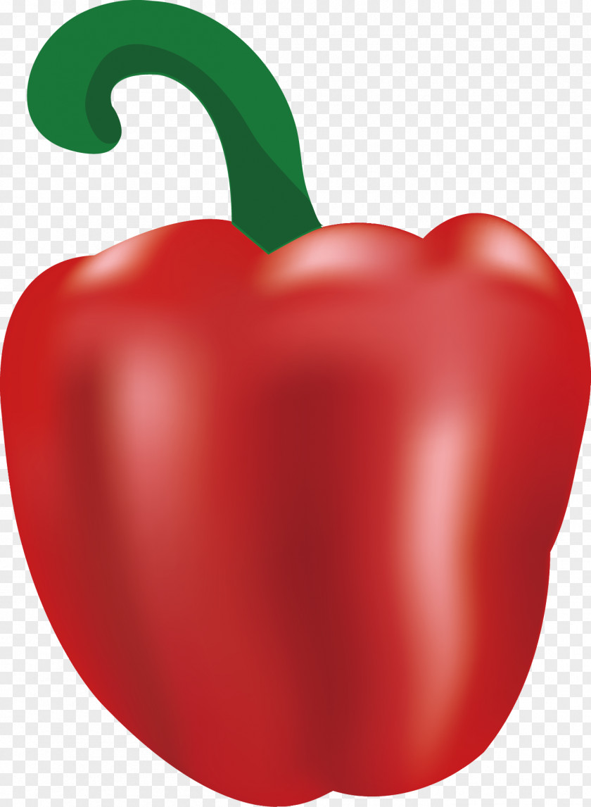 Bell Peppers Vector Chili Pepper Vegetable PNG