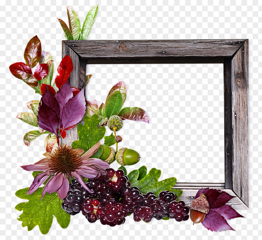 Berry Vitis Background Flowers Frame PNG