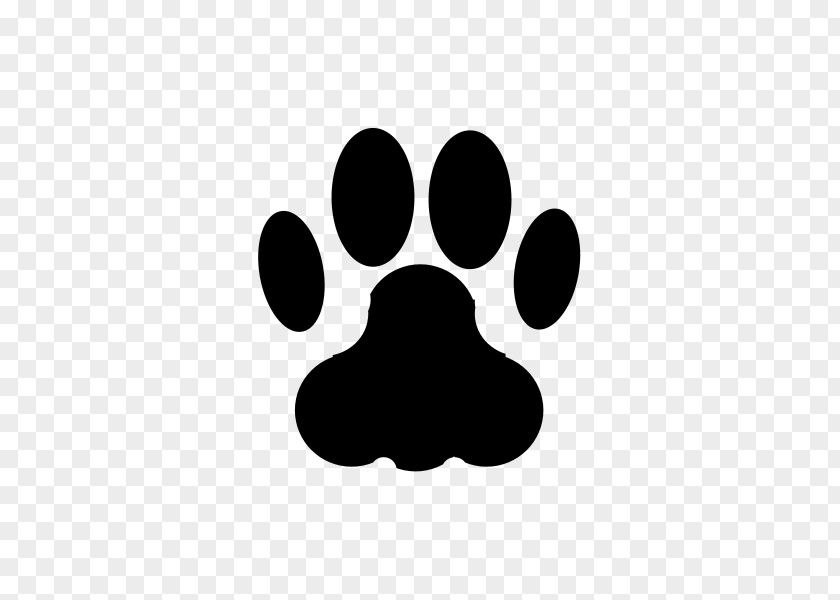 Cat Dog Kitten Puppy Animal Track PNG