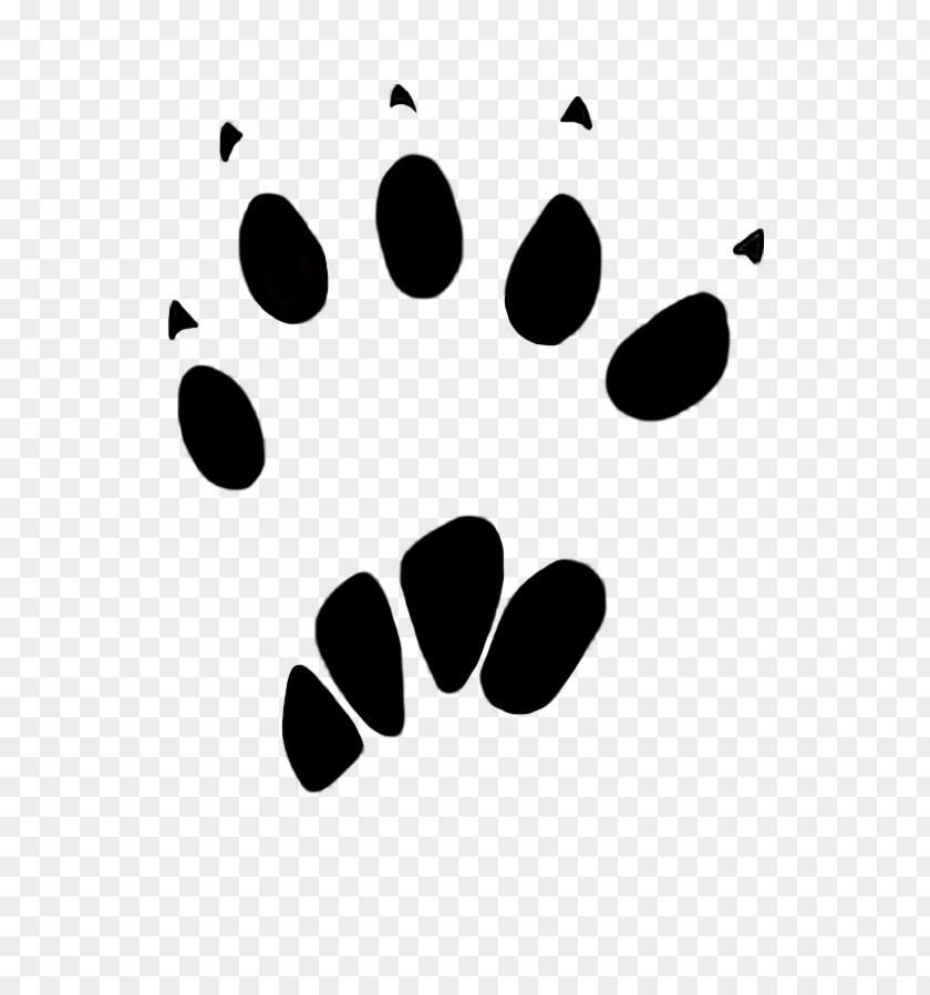 Cat Footprints Squirrel Paw Dog Animal Track Clip Art PNG