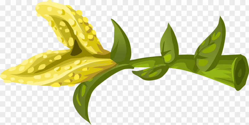 Herbs Flower Clip Art PNG