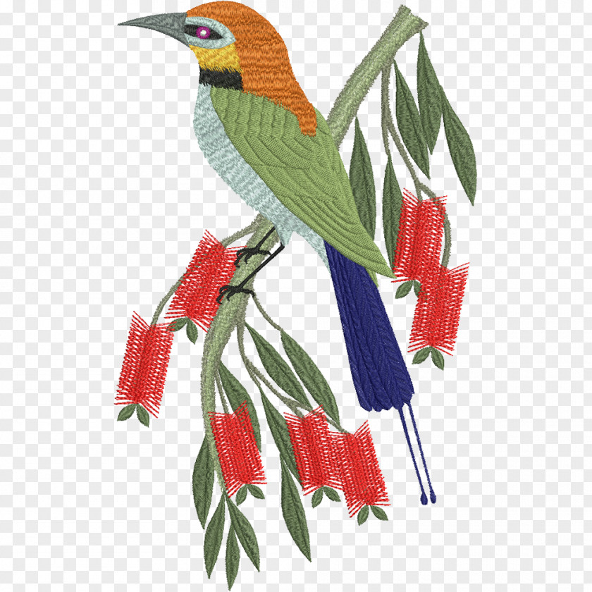 Parrot Bird Budgerigar Beak Machine Embroidery PNG