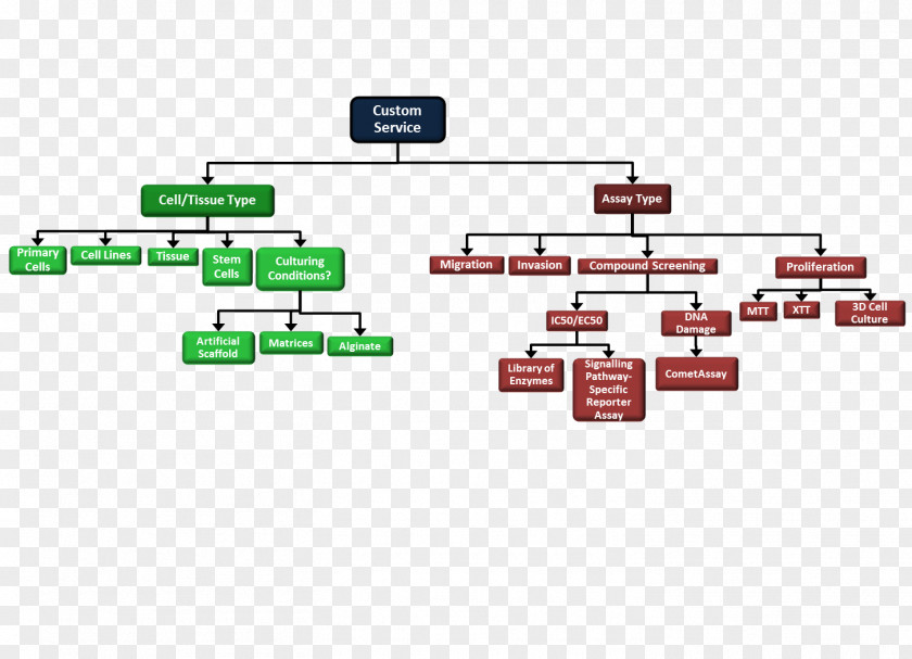 Technology Brand Diagram PNG