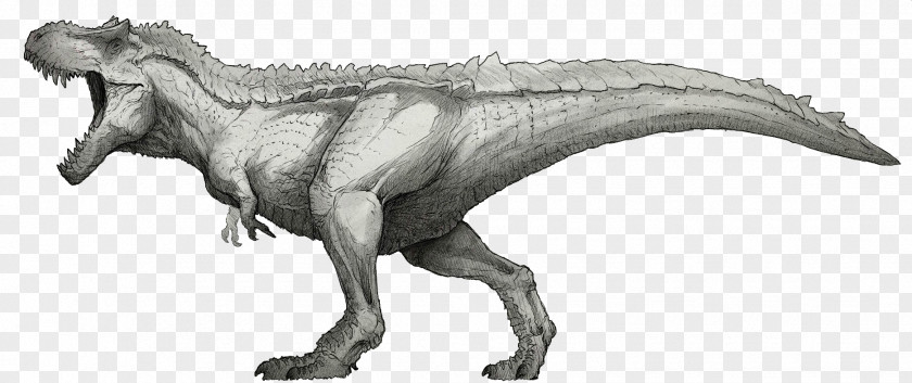 Tyrannosaurus Giganotosaurus Spinosaurus Triceratops Ceratosaurus PNG