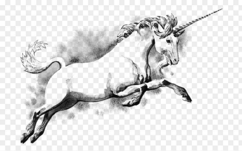 Unicorn Legendary Creature Scotland Fairy Tale Drawing PNG