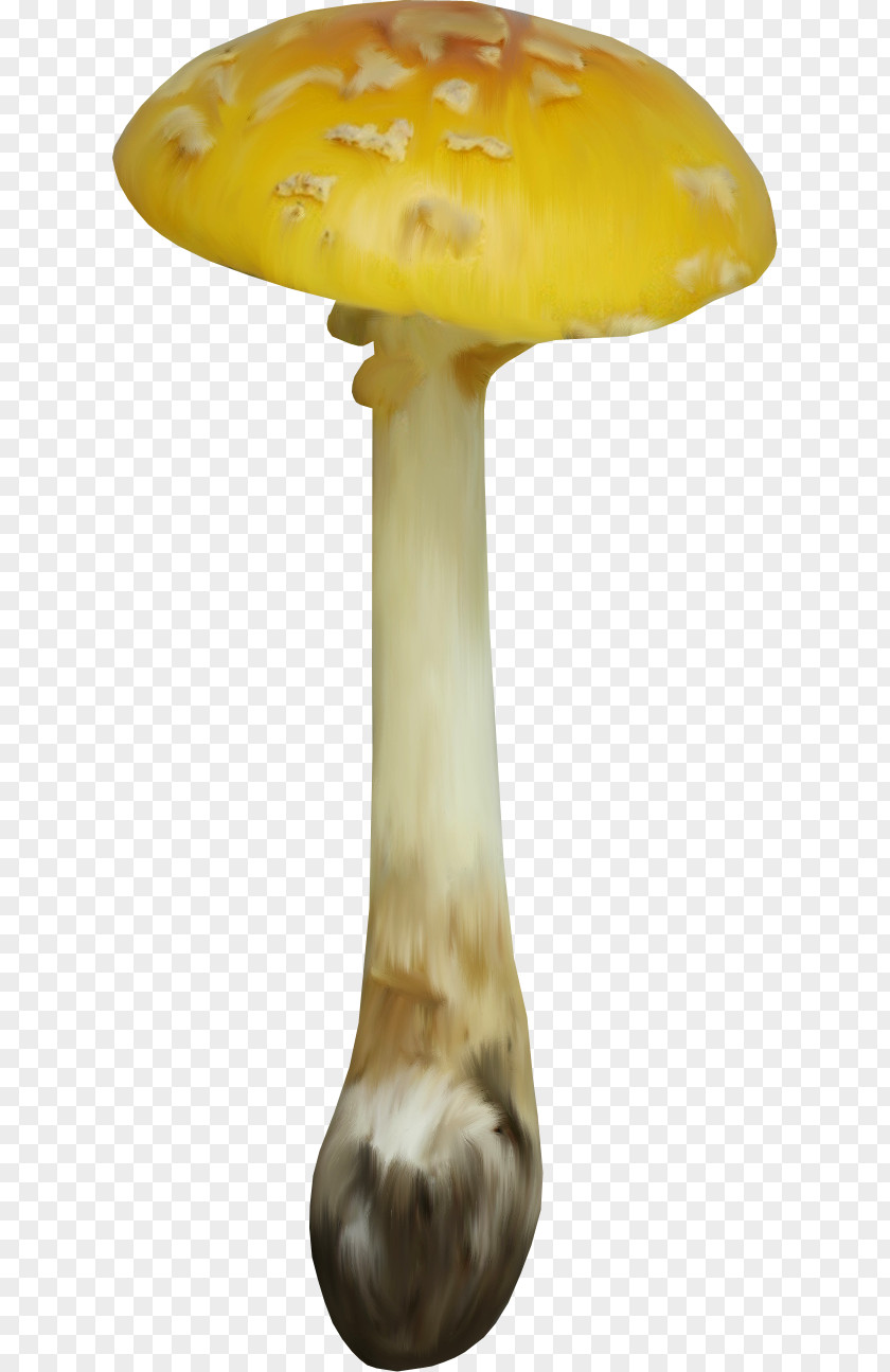 Food Painted Image,mushroom Edible Mushroom Clip Art PNG
