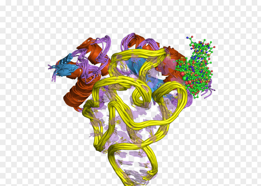 Peptidyl Transferase Ribosome 23S Ribosomal RNA Enzyme PNG