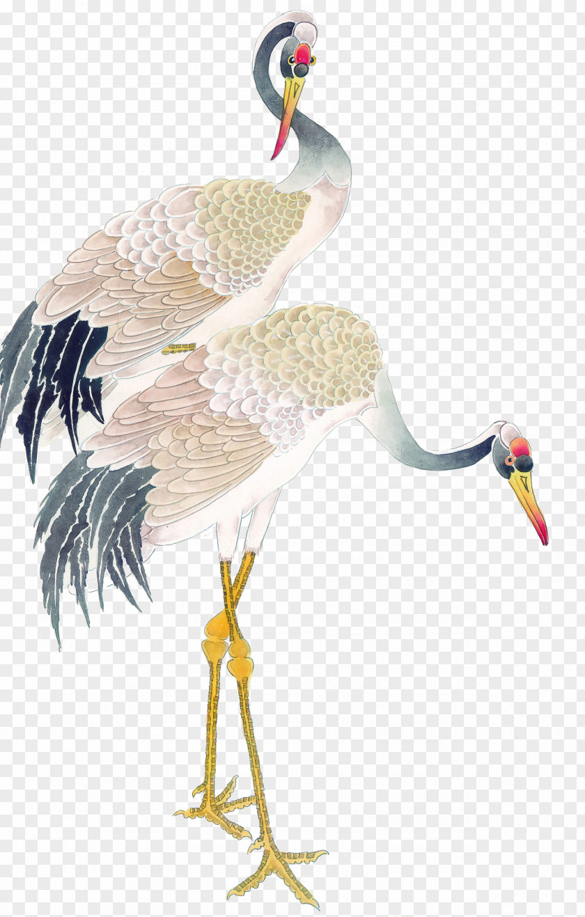 Cartoon Painted Red-crowned Crane PNG painted red-crowned crane clipart PNG