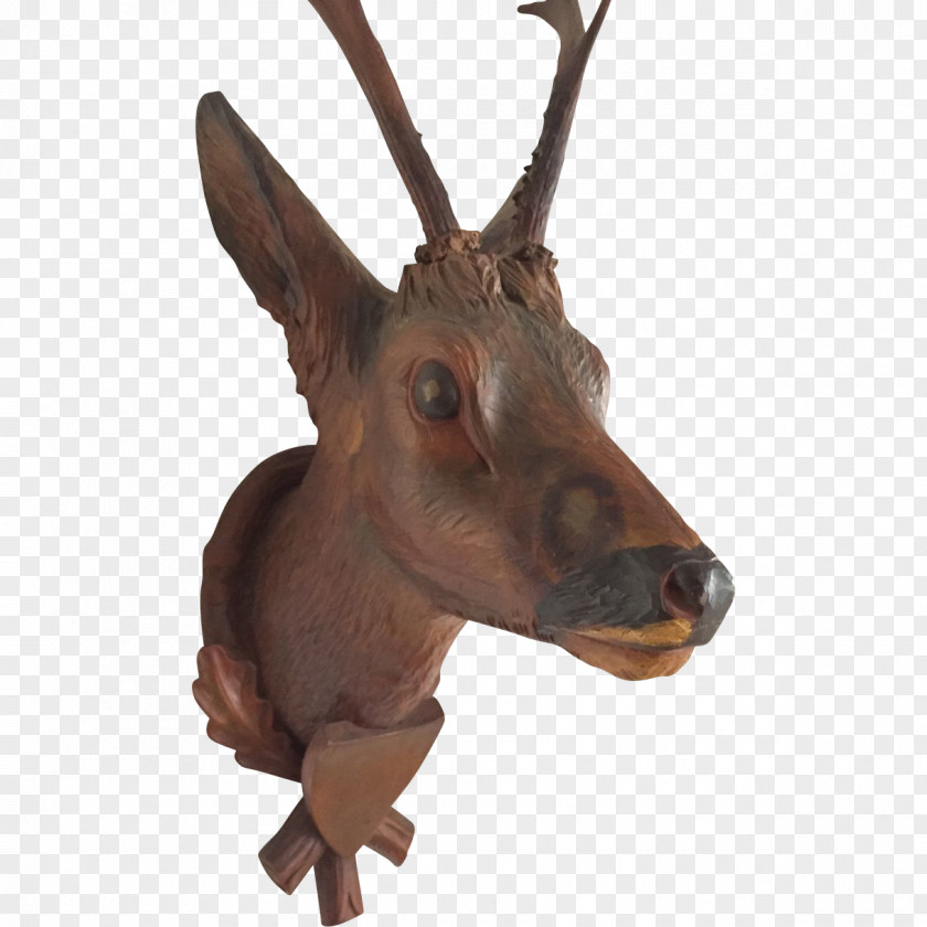 Deer Reindeer Elk Antler Horn PNG