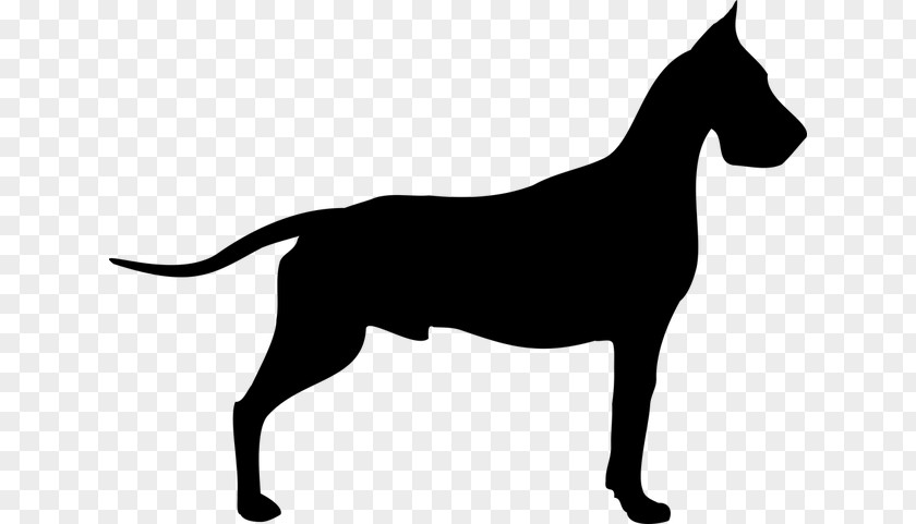 Dog Number Great Dane Dogue De Bordeaux Old Danish Pointer Poodle Clip Art PNG