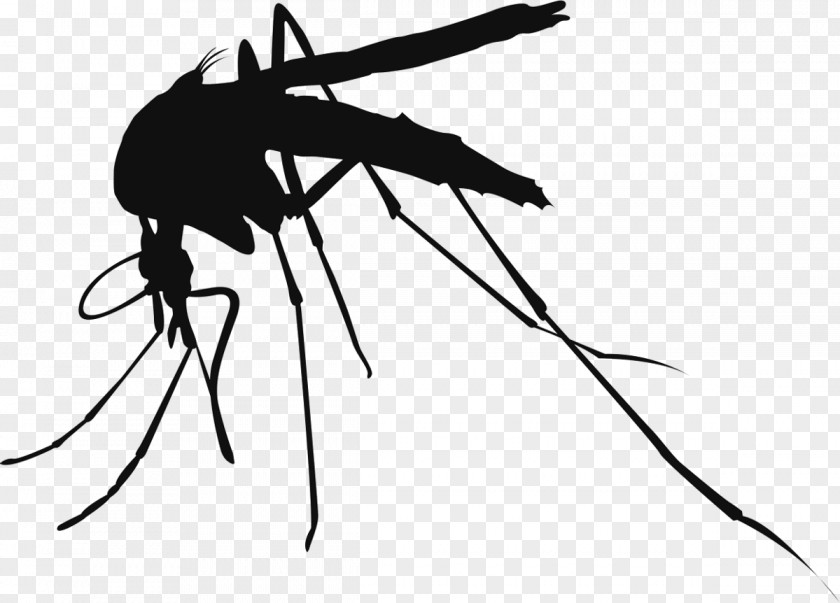 Mosquito Control Insect Vector Mosquito-borne Disease PNG
