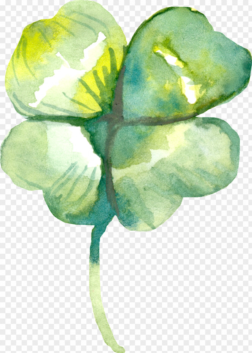 Plant Stem Petal Flower Art Watercolor PNG