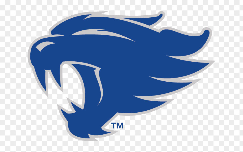 American Football University Of Kentucky Wildcats Men's Basketball NCAA Division I Bowl Subdivision Logo PNG
