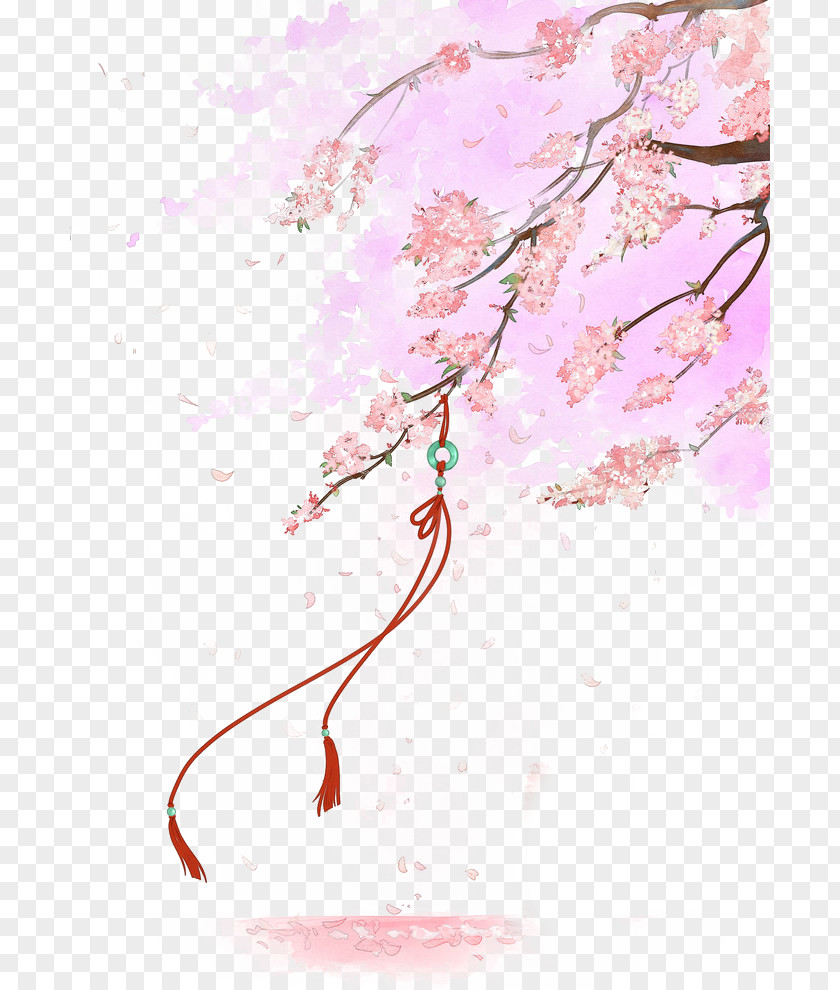 Beautiful Hand-drawn Illustration Antiquity Cherry Blossom Quan Zhi Gao Shou Flower Painting PNG