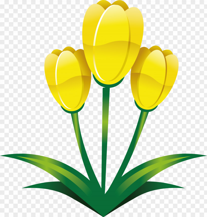 Easter Flower Spring PNG