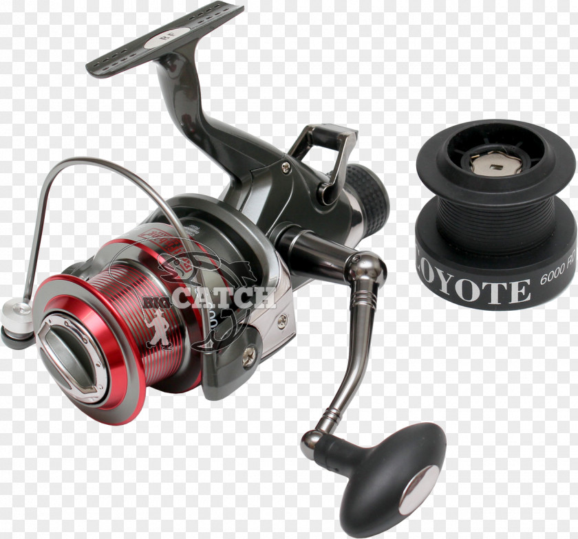 Fishing Reels Common Carp Angling Spin PNG
