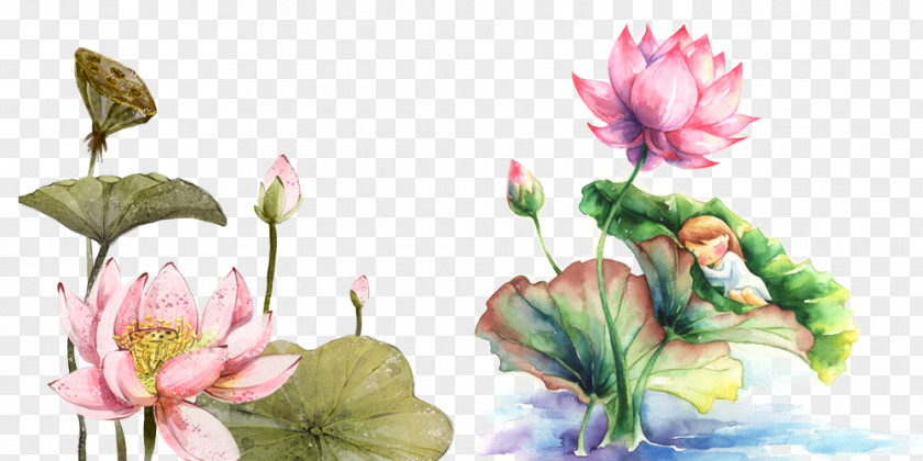 Flowers Qiqihar Watercolor Painting Drawing Illustration PNG
