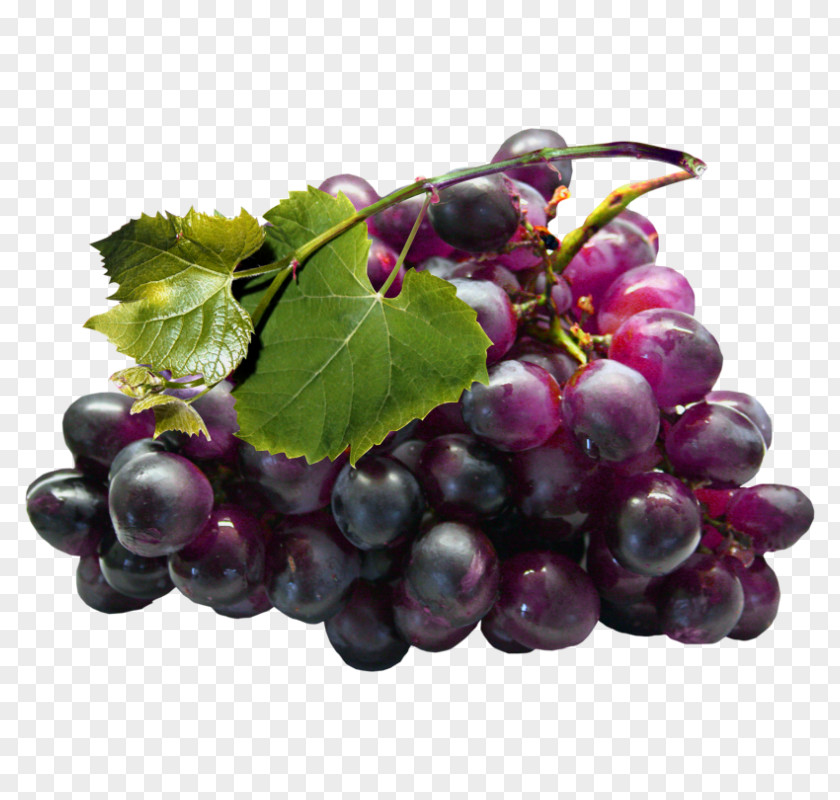 Grape Common Vine Seed Extract Zante Currant PNG