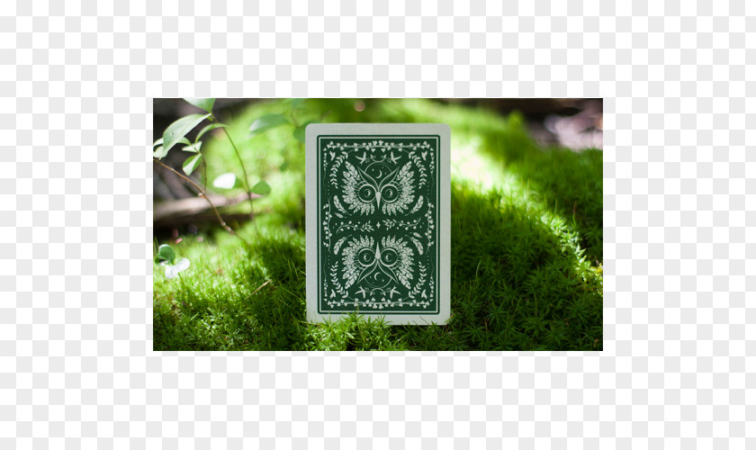 Inspired By The Green Skateboards Owl Playing Card Game Ace Of Spades Joker PNG