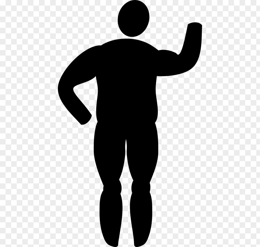 Muscle Clip Art PNG