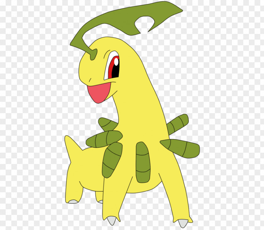 Pokemon Bayleef Torterra Chikorita Pokémon PNG