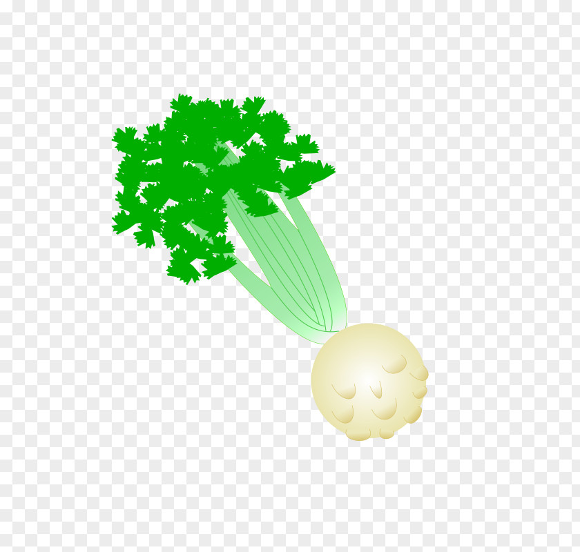 Vegetable Celeriac Tuna Fish Sandwich Salad Macaroni Clip Art PNG