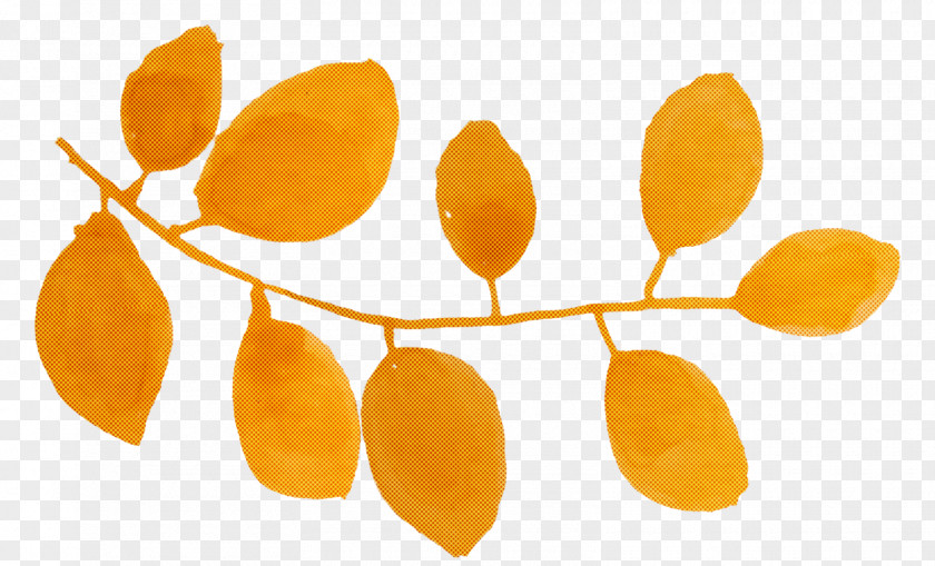 Yellow Leaf Plant Flower PNG
