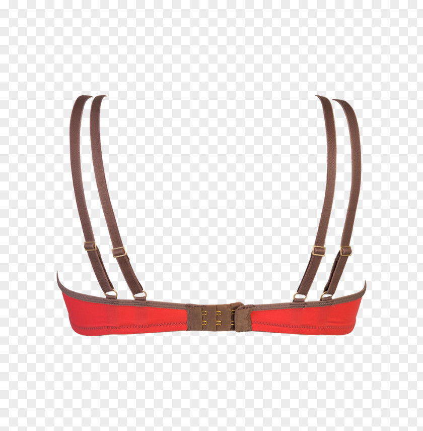 Belt Strap Product Design PNG
