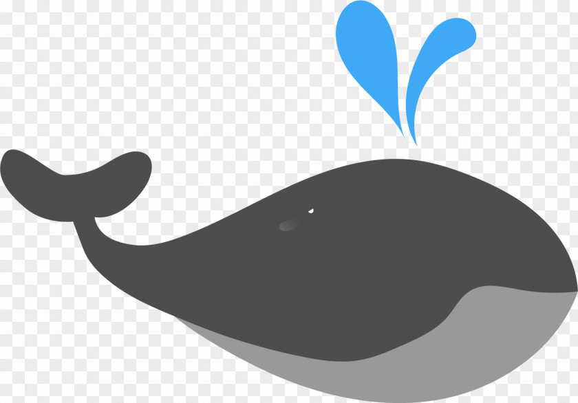 Beluga Whale Moby-Dick Wallpaper PNG