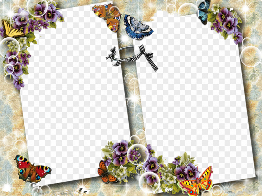 Butterfly Border Picture Frame Clip Art PNG