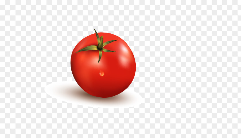Tomato Diet Food Apple Wallpaper PNG