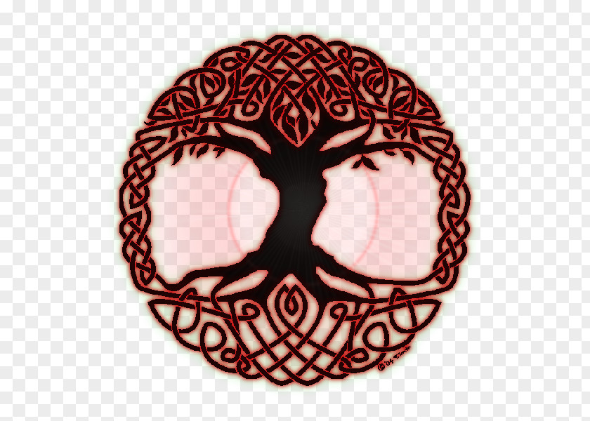 Tree Of Life Color Symbol Celtic Sacred Trees PNG