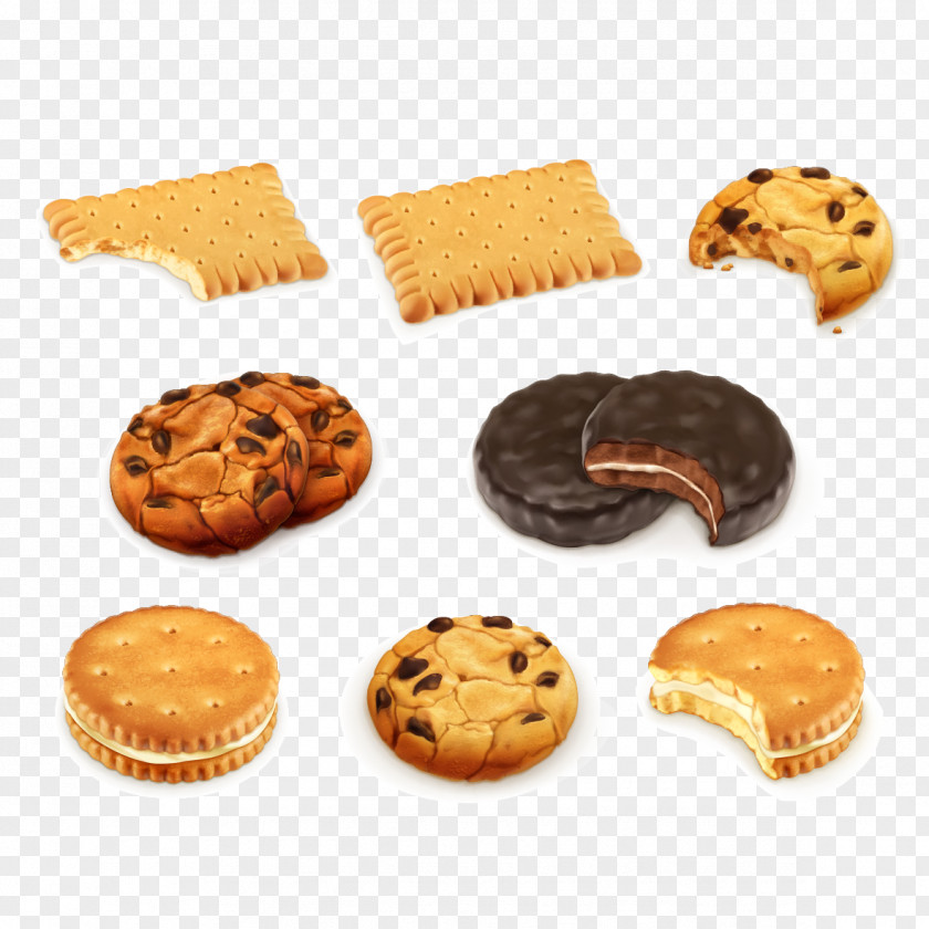 Creative Delicious Cookies Chocolate Chip Cookie Biscuit Royalty-free PNG