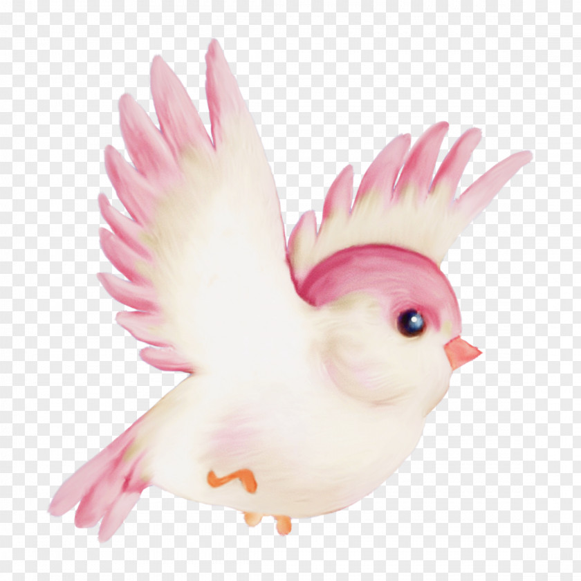 Feather PNG