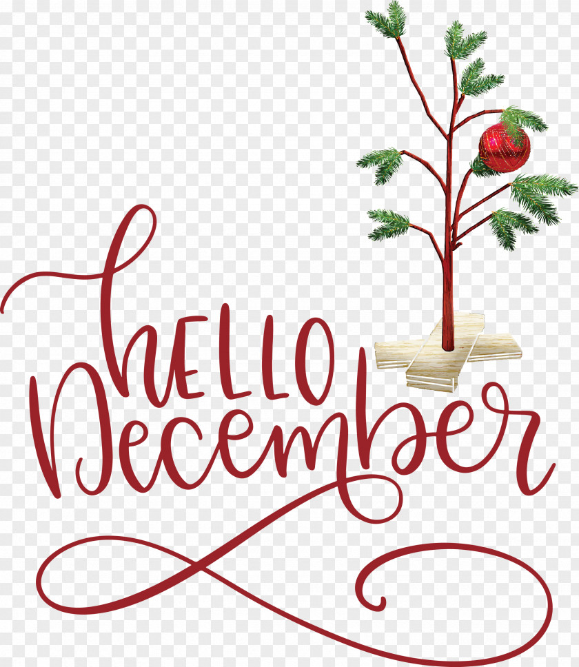 Hello December Winter PNG