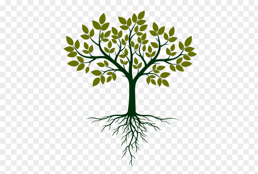 Tree Leaf Plant Branch Stem PNG