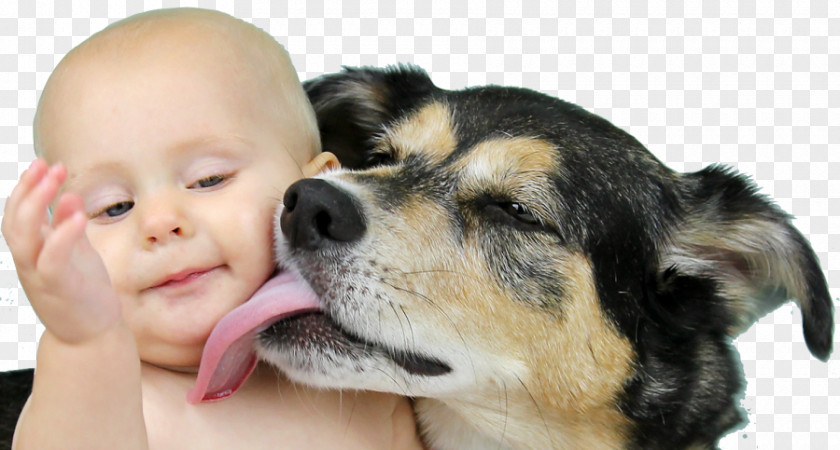 Baby Dog Stock Photography Infant Royalty-free PNG