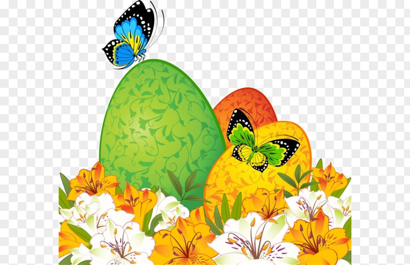 Cartoon Butterfly Easter Photography Illustration PNG