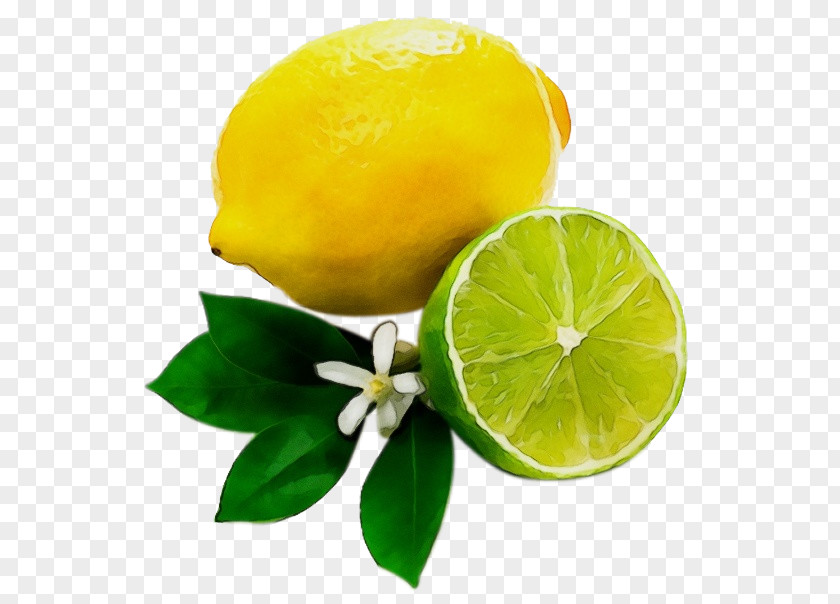 Grapefruit Pomelo Lemon Background PNG