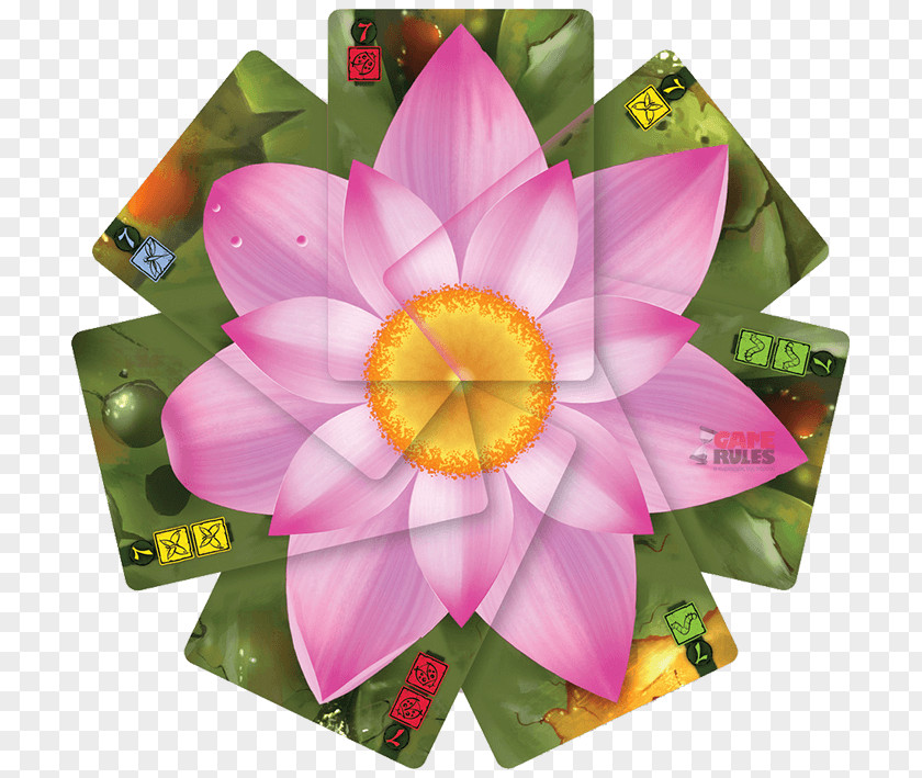 Lotus Lantern Board Game Monopoly Card Tabletop Games & Expansions PNG