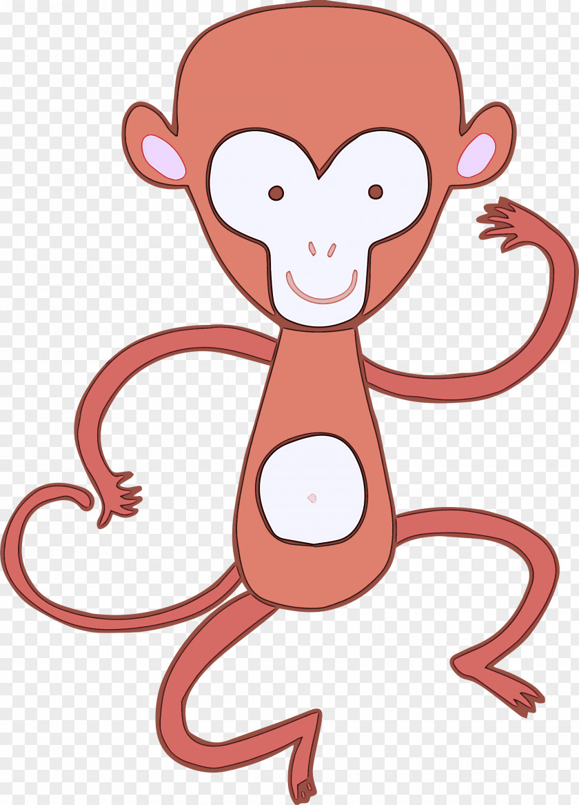 Old World Monkey Nose Cartoon PNG