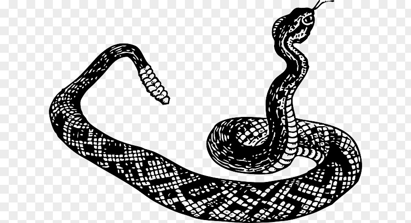 Symbol Chinese Knot Rattlesnake Vipers Reptile PNG