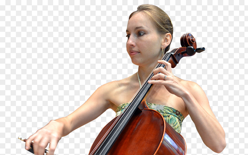 Violin Cello Viola Microphone Cellist PNG