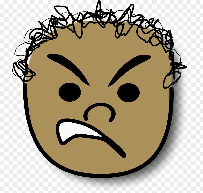 Angry Ales Vector Graphics Clip Art Cartoon Illustration Hair PNG