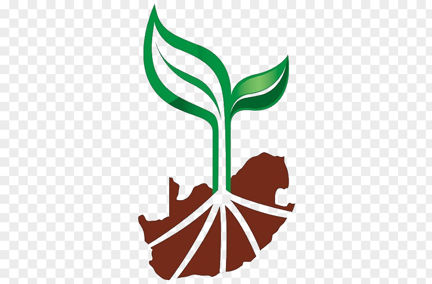 Colorado Weed List Seedling Leaf Nursery Clip Art PNG