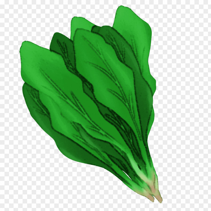 Leaf Glove Safety PNG