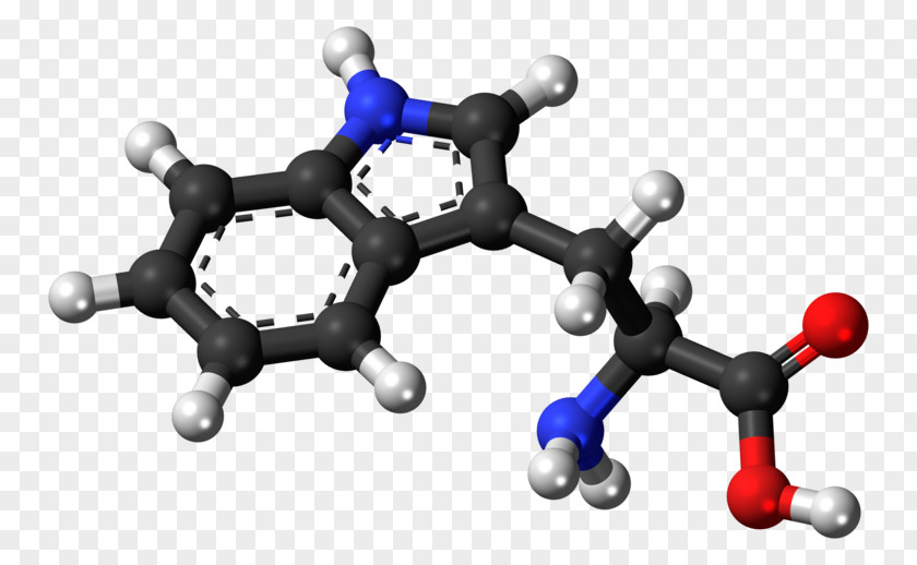 Oxygen Atom Model Build Dietary Supplement Amino Acid 5-Hydroxytryptophan PNG